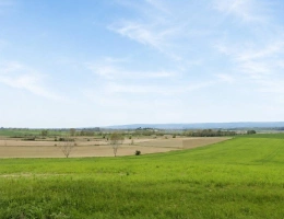 Vignette - Agricole - Terrain agricole