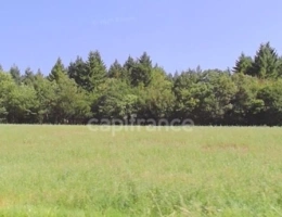 Vignette - Forestière - Propriété FORESTIERE GIRY (58)