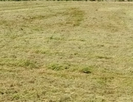 Vignette - Agricole - Terrain à vendre HEURTEAUVILLE (76)