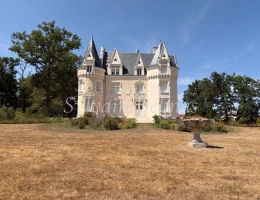 Vignette - Prestige - Propriete à vendre 8 pièces proche de LOCHES (37)