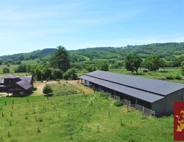 Vignette - Équestre - Propriété équestre 2,6 hectares