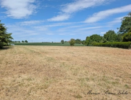 Vignette - Rural - TERRAIN DE LOISIRS 2 930 m² à SAINT-BRICE, AUX PORTES DE PROVINS (77160)