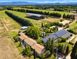 Vignette - Equestrian - An exceptional 11.5-hectare estate - A future equestrian resort in the heart of the Alpilles