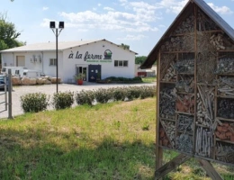 Vignette - Agricultural - FARM SALE IN POLYCULTURE AND LIVESTOCK IN AB