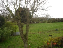 Vignette - Equestrian - Corps de ferme