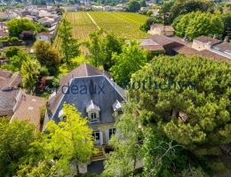 Vignette - Vineyard - 2.7 HECTARE VINEYARD IN THE HEART OF THE PRESTIGIOUS POMEROL APPELLATION