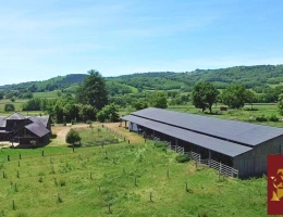 Vignette - Équestre - Propriété équestre 2,6 hectares