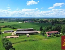 Vignette - Equestrian - Propriété agricole 48 hectares