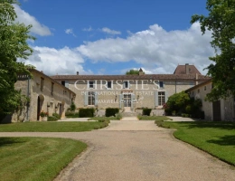 Vignette - Vineyard - Beautiful organic vineyard estate in the Montravel, Haut-Montravel and Côtes de Bergerac AOCs