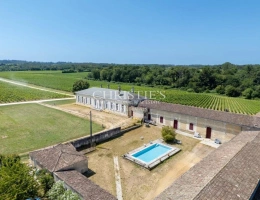 Vignette - Vineyard - Historic Fronsac vineyard estate with quality terroir near Libourne