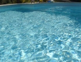 Vignette - Prestigious - Propriete VILLA avec PISCINE et  PARC vendre 8 pièces APT (84)
