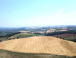 Vignette - Agricole - Terrain agricole