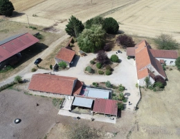 Vignette - Équestre - LE THOULT TROSNAY (51) à vendre superbe corps de ferme restauré sur un terrain clos de plus de 8600 m2 avec étang