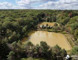 Vignette - Forestière - PROPRIÉTÉ DE CHASSE de 237 ha