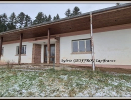 Vignette - Touristique - Propriete à vendre 10 pièces ETIVAL CLAIREFONTAINE (88)