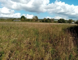 Vignette - Agricole - Terrain à vendre HEURTEAUVILLE (76)
