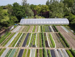 Vignette - Agricole - Micro ferme maraichère