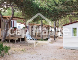 Vignette - Tourist - GARD (30) ALES (30100) 30 mn Vente Murs et Fonds de Commerce de Camping saisonnier de 2 HA proche rivière
