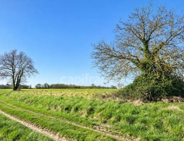Vignette - Agricole - Terrain agricole de 1 720 m² - Cadre rural préservé - Vanzac (17)