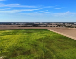 Vignette - Agricole - 196 hectares d'un seul tenant avec potentiel sablier