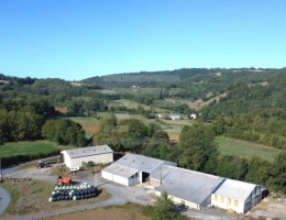 Vignette - Agricole - Ovins / Caprins
