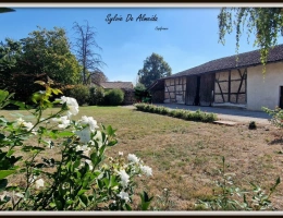 Vignette - Rural - Longère property, 165 m², for sale, 6 rooms, Bage Dommartin (01), 4000 m² plot, outbuildings, potent