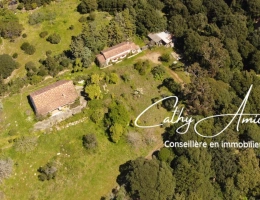 Vignette - Touristique - SAGONE (Corse) : Propriete à vendre, maison T4 + dépendance avec 2 appartements T1, sur terrain plat de 5000m2