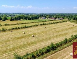 Vignette - Équestre - Havre équestre de 21 hectares aux portes de Lyon et de Suiss