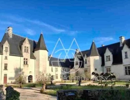 Vignette - Prestige - Château millénaire surplombant un village sur un parc de 15 ha