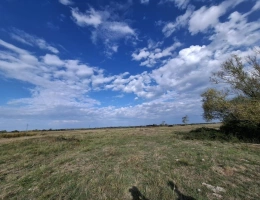 Vignette - Équestre - Domaine de 4,7 hectares à Notre-Dame-de-Monts
