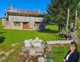 Vignette - Rurale - Maison à vendre 0 pièces BRIZON (74)