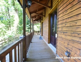 Vignette - Forest - PRIVATE FISHING ESTATE WITH COTTAGE AND TOURIST ACTIVITY – SAINT-JAMES