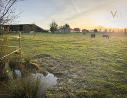 Vignette - Equestrian - Propriete équestre avec 20ha d’un seul tenant proche de VILLEREAL (47)