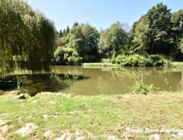 Vignette - Forest - PRIVATE FISHING ESTATE WITH COTTAGE AND TOURIST ACTIVITY – SAINT-JAMES