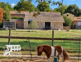 Vignette - Équestre - PROPRIÉTÉ ÉQUESTRE   9 HECTARES   MAISON 134 M2   MANÈGE   C