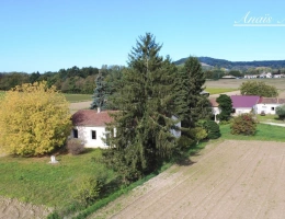 Vignette - Agricole - Propriete à vendre 5 pièces SAINT SYLVESTRE SUR LOT (47)