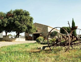 Vignette - Equestrian - Equestrian center operating 16 hours a week   A rare find on