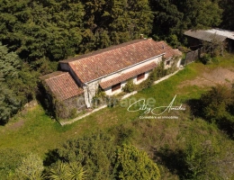Vignette - Tourist - SAGONE (Corse) : Propriete à vendre, maison T4 + dépendance avec 2 appartements T1, sur terrain plat de 5000m2