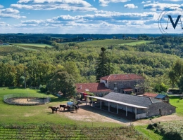 Vignette - Equestrian - Exceptional property where horses are at the heart of everyday life, located near Tournon-d’Agenais