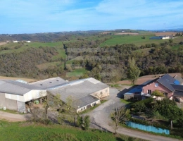 Vignette - Agricole - Ovins / Caprins