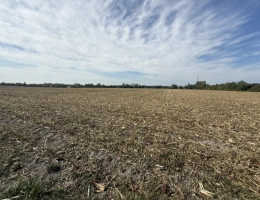Vignette - Agricole - Exploitation céréalière et légumière à proximité de Cognac