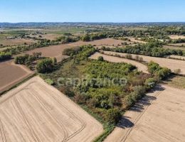 Vignette - Agricole - Terrains agricoles 3 hectares