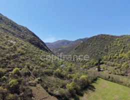 Vignette - Agricole - Terres et bâtis d'activités de 256 m² sur 20 hectares (203 000 m²)