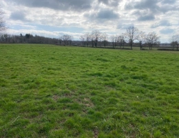 Vignette - Agricole - A vendre centre France exploitation de 244 ha en transformation fromage et bovins viande