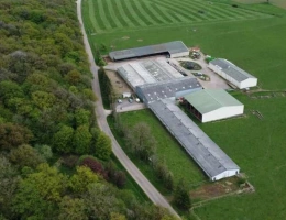 Vignette - Agricole - GRAND EST DOMAINE AGRICOLE – ÉLEVAGE BOVIN VIANDE – CLÉ EN MAIN