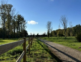 Vignette - Equestrian - À VENDRE - Propriété équestre de 2,8 hectares à Vimory (4