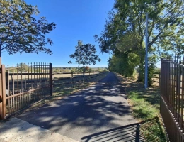 Vignette - Equestrian - À VENDRE - Magnifique domaine équestre avec maison de caract