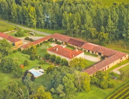 Vignette - Prestigious - Château for sale in Bas Armagnac (32) - With two gîtes, outbuildings, swimming pool and grounds - 19
