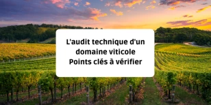 L'audit technique d'un domaine viticole : points clés à vérifier