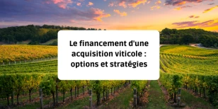 Le financement d'une acquisition viticole : options et stratégies